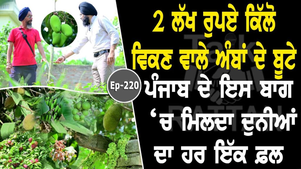 Show with Simranjeet Singh Kotkapura | Horticulture | EP 220 | Talk with Rattan